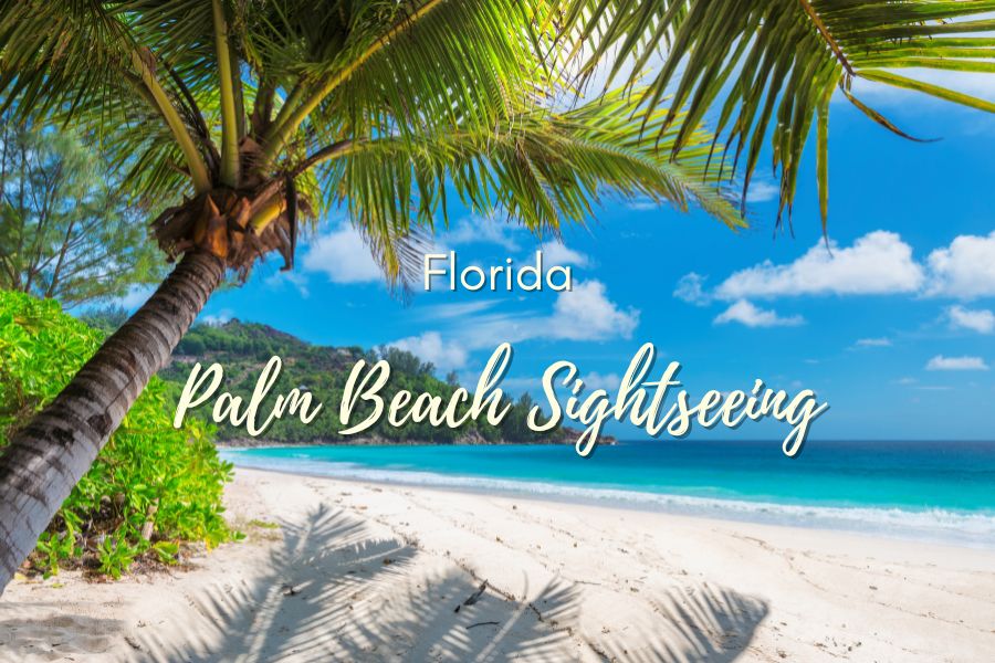 Sightseeing Cruise in Palm Beach